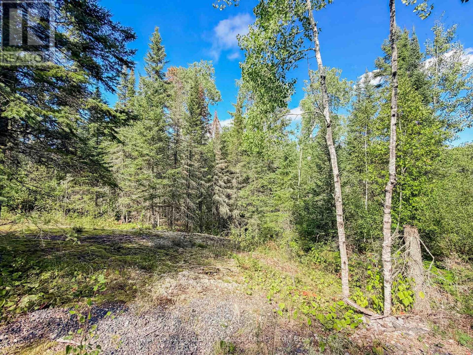 126 Aube Drive, Kenora, Ontario  P9N 4N7 - Photo 16 - X13757164