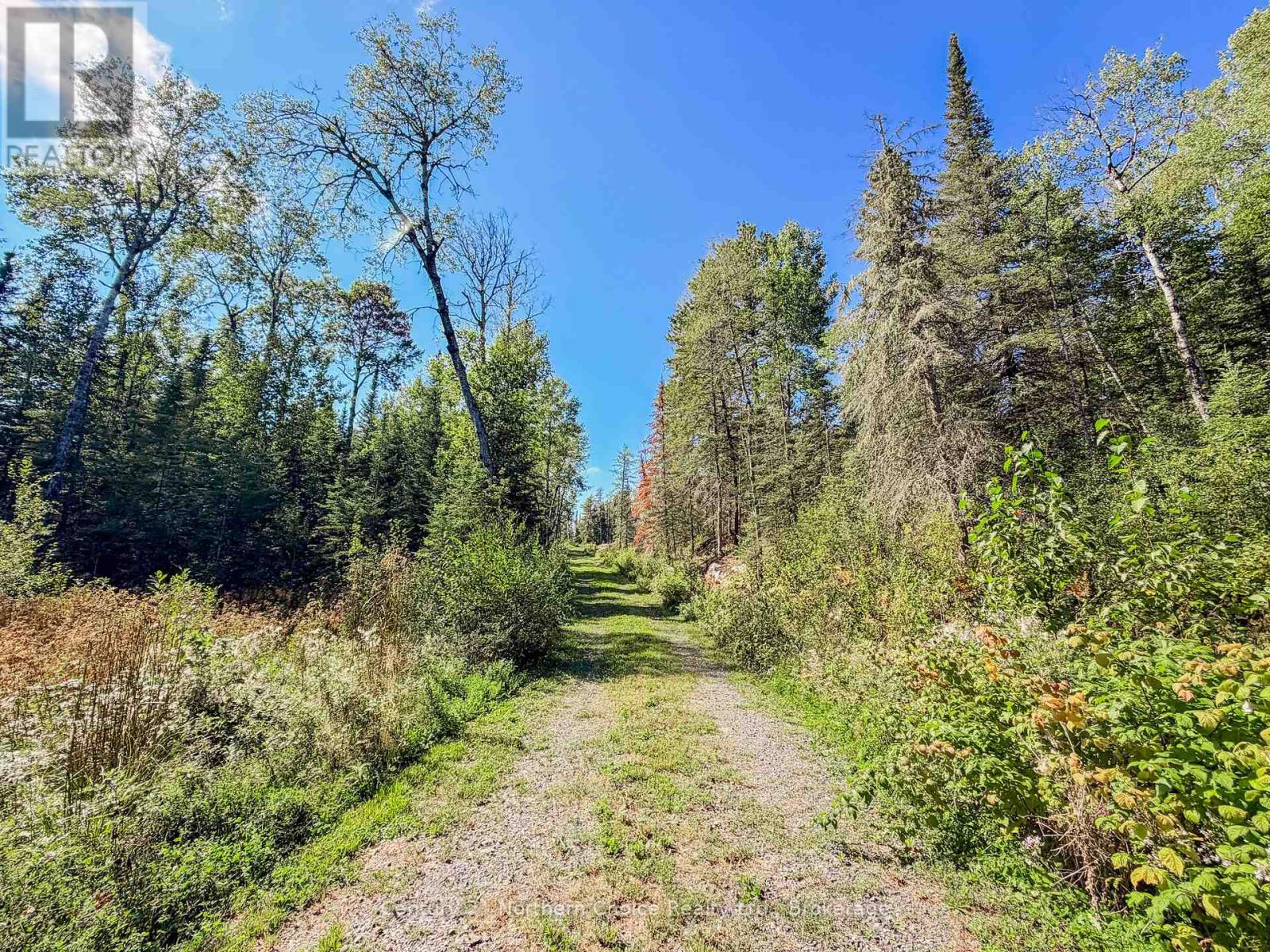 126 Aube Drive, Kenora, Ontario  P9N 4N7 - Photo 18 - X13757164