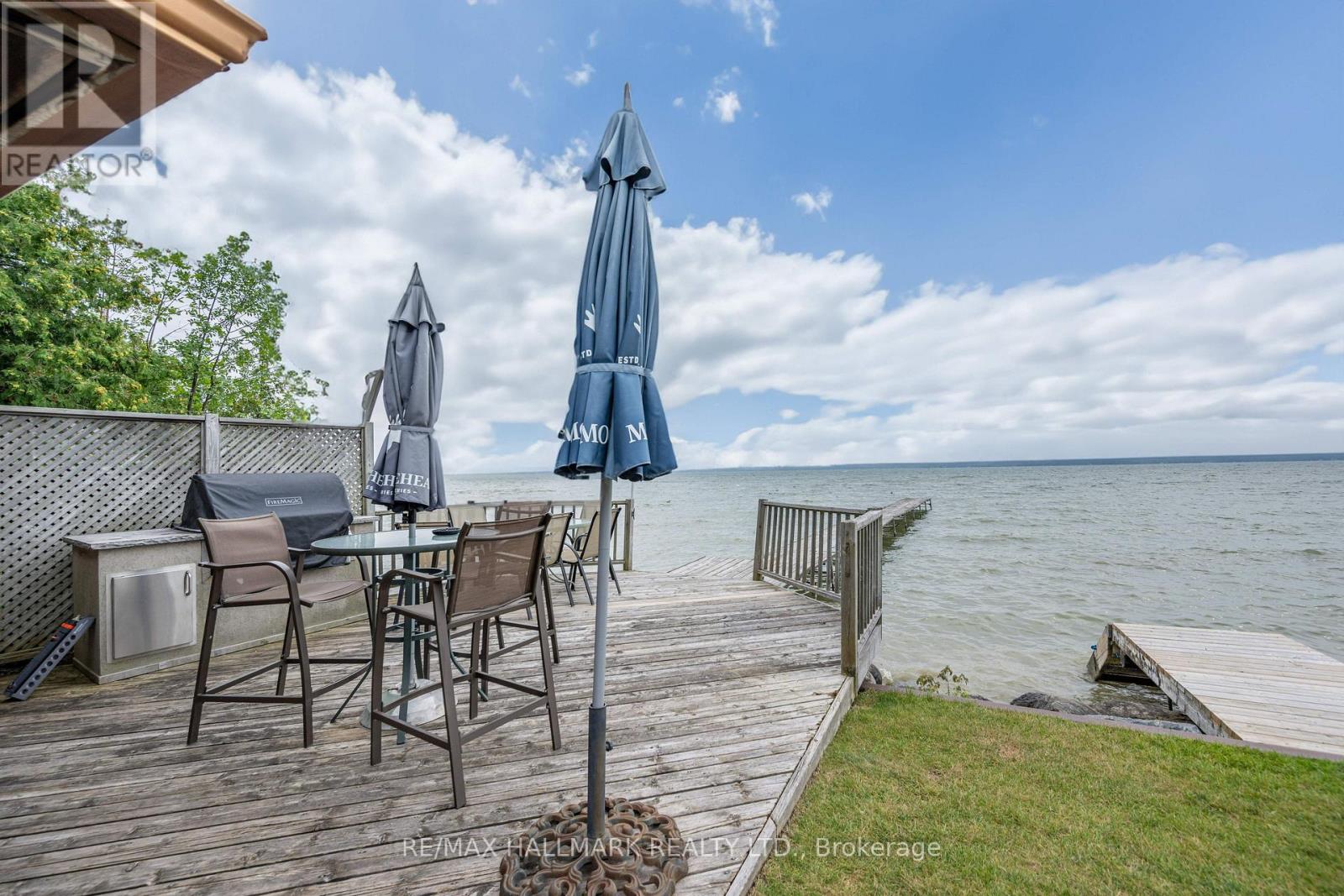 361 Lake Drive N, Georgina, Ontario  L4P 3C8 - Photo 25 - N13763102