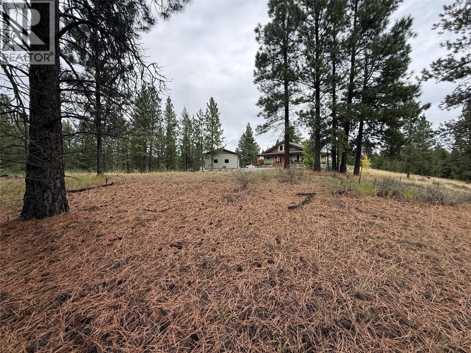 232 Corral Boulevard, Cranbrook, British Columbia V1C 0C2 - Photo 6 - 10400060