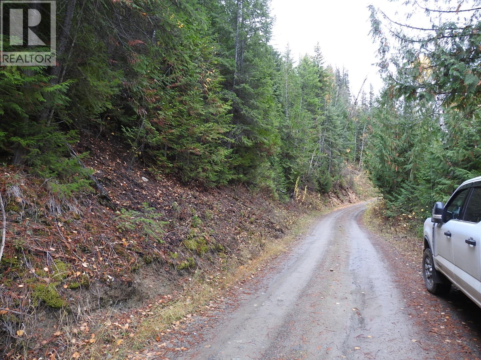 144 Acres South Fork Road, Cherryville, British Columbia  V0E 2G3 - Photo 10 - 10339844