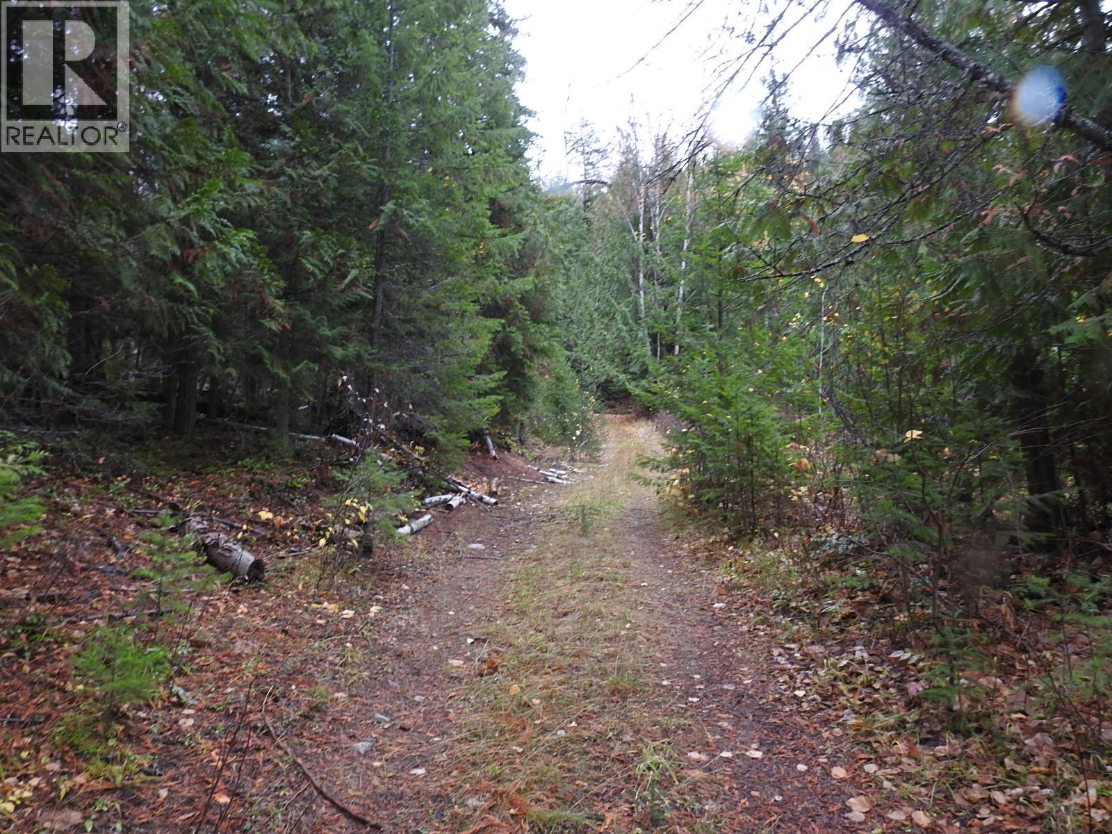 144 Acres South Fork Road, Cherryville, British Columbia  V0E 2G3 - Photo 36 - 10339844