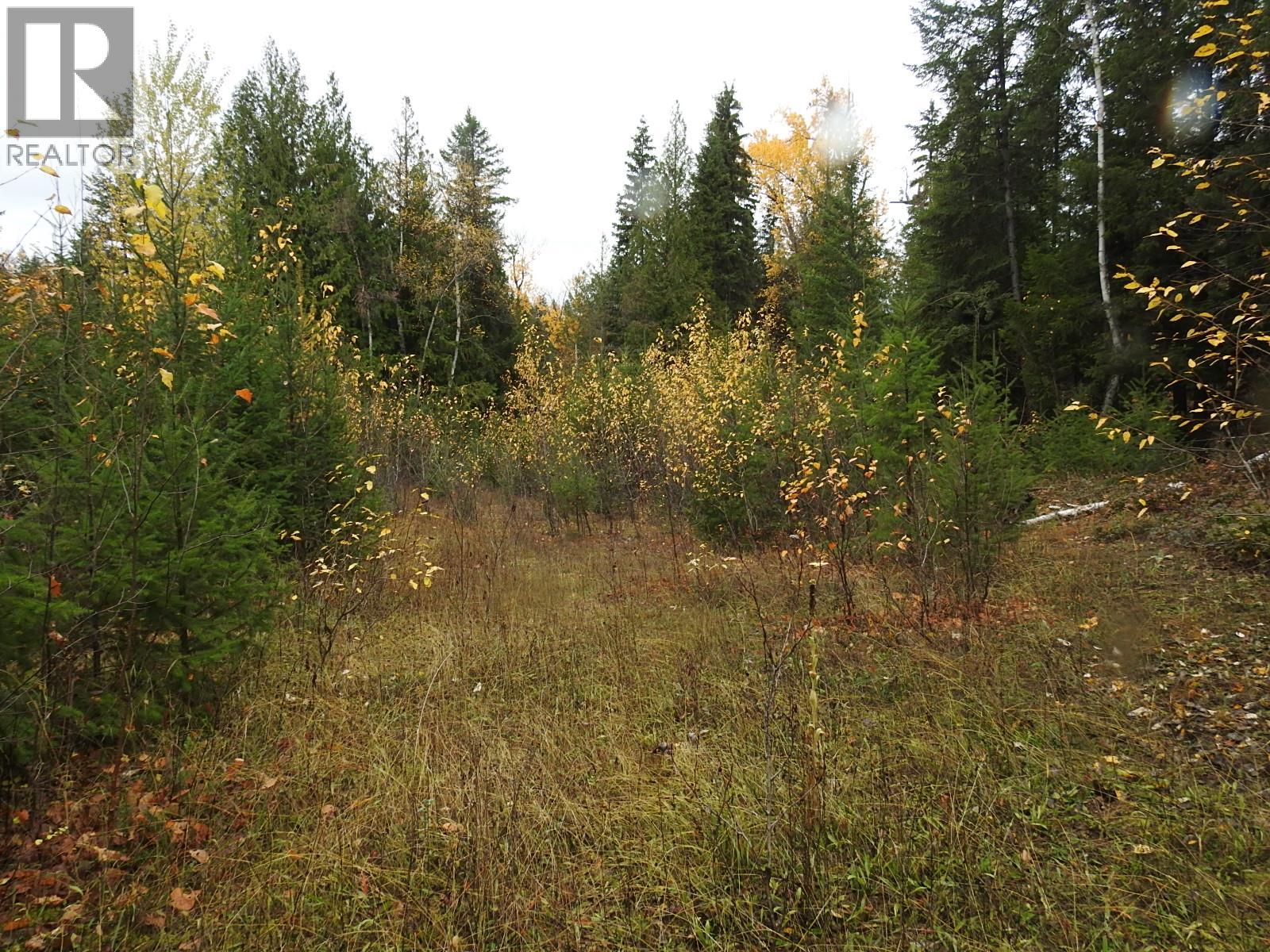 144 Acres South Fork Road, Cherryville, British Columbia  V0E 2G3 - Photo 35 - 10339844