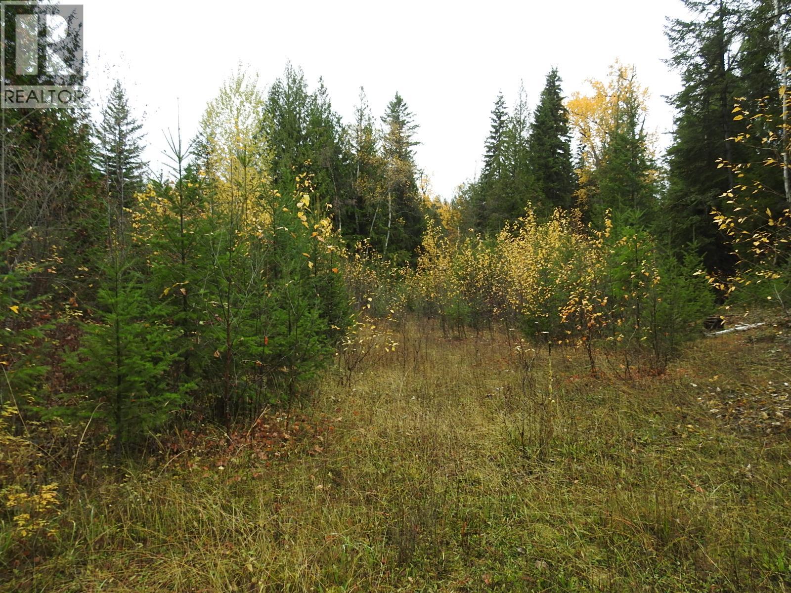 144 Acres South Fork Road, Cherryville, British Columbia  V0E 2G3 - Photo 12 - 10339844
