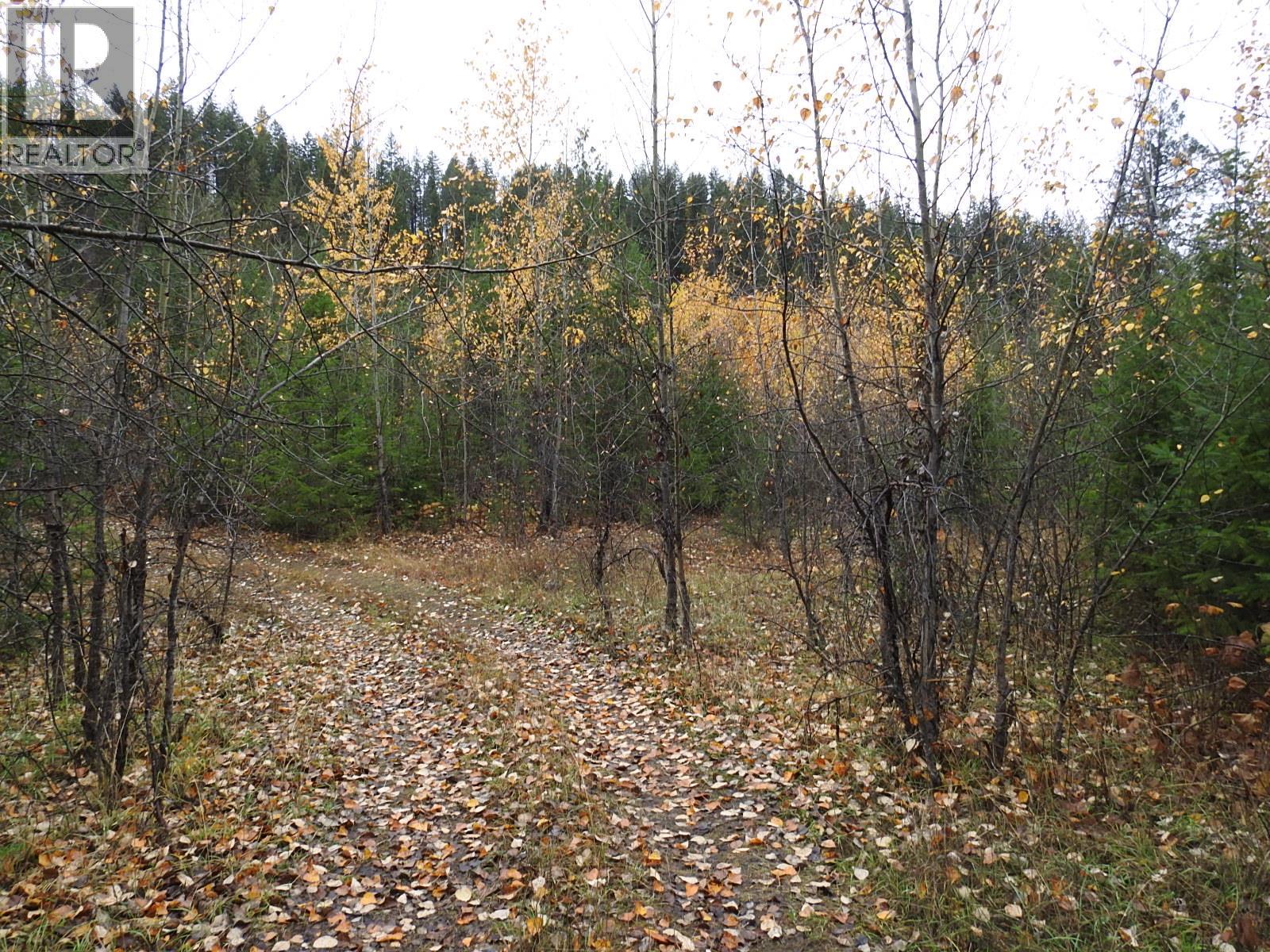 144 Acres South Fork Road, Cherryville, British Columbia  V0E 2G3 - Photo 15 - 10339844