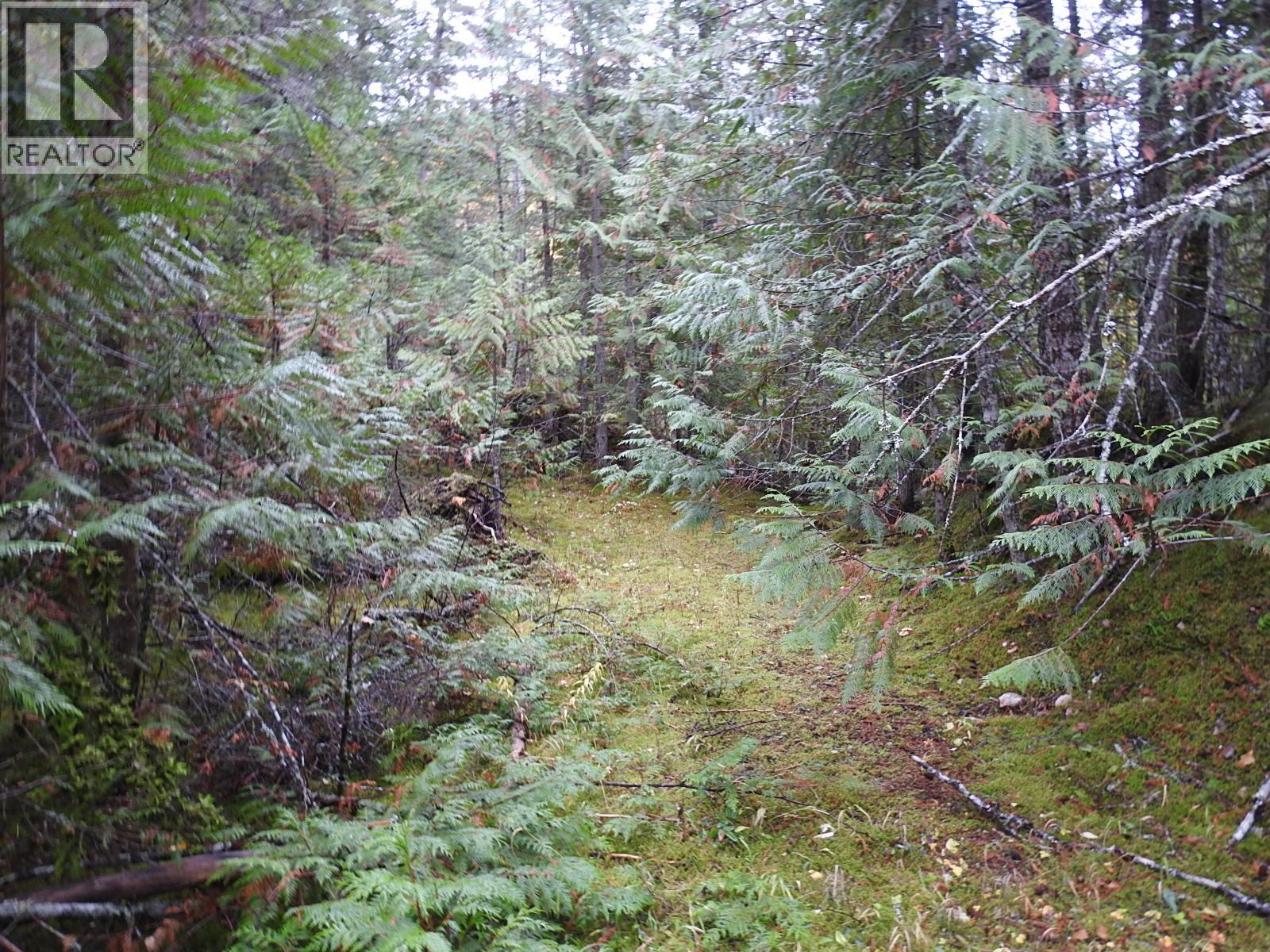 144 Acres South Fork Road, Cherryville, British Columbia  V0E 2G3 - Photo 30 - 10339844