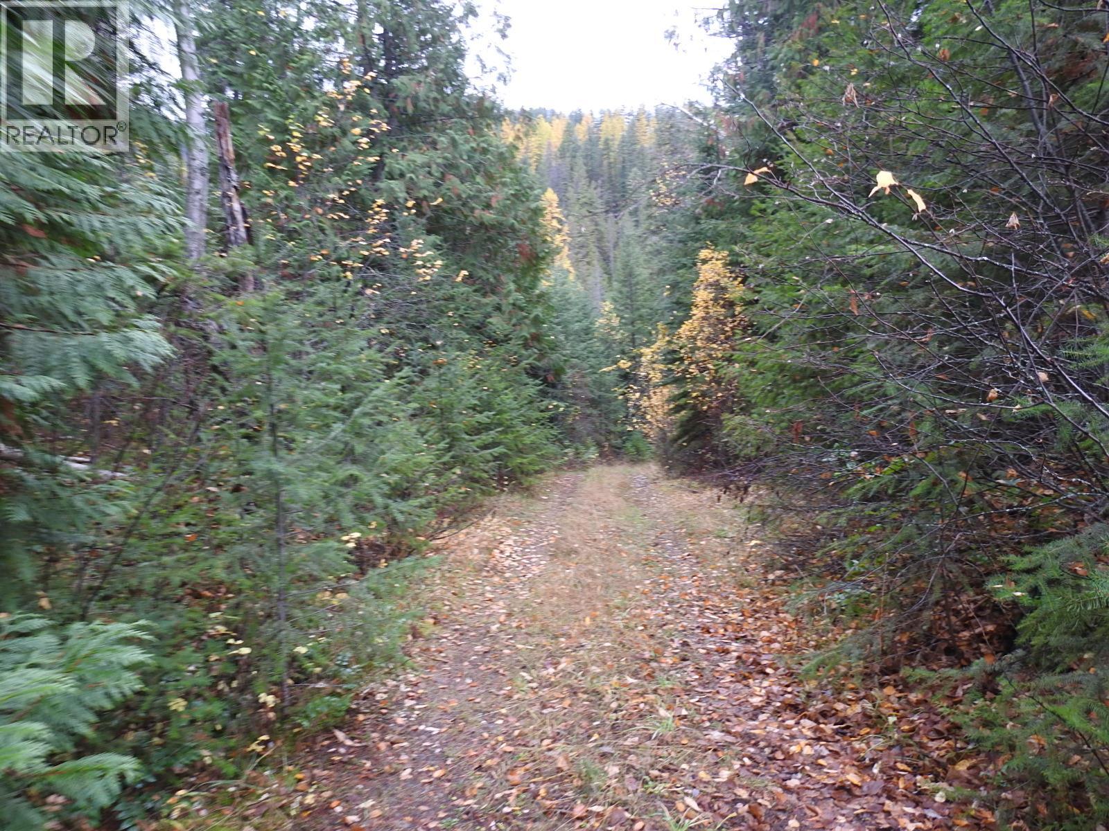 144 Acres South Fork Road, Cherryville, British Columbia  V0E 2G3 - Photo 13 - 10339844