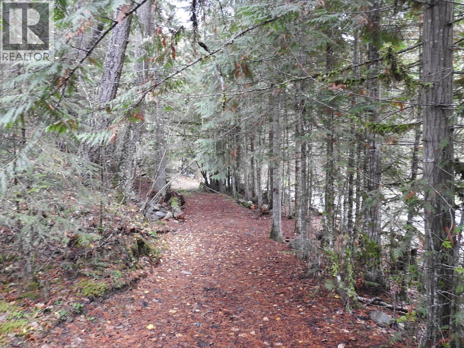 144 Acres South Fork Road, Cherryville, British Columbia  V0E 2G3 - Photo 17 - 10339844
