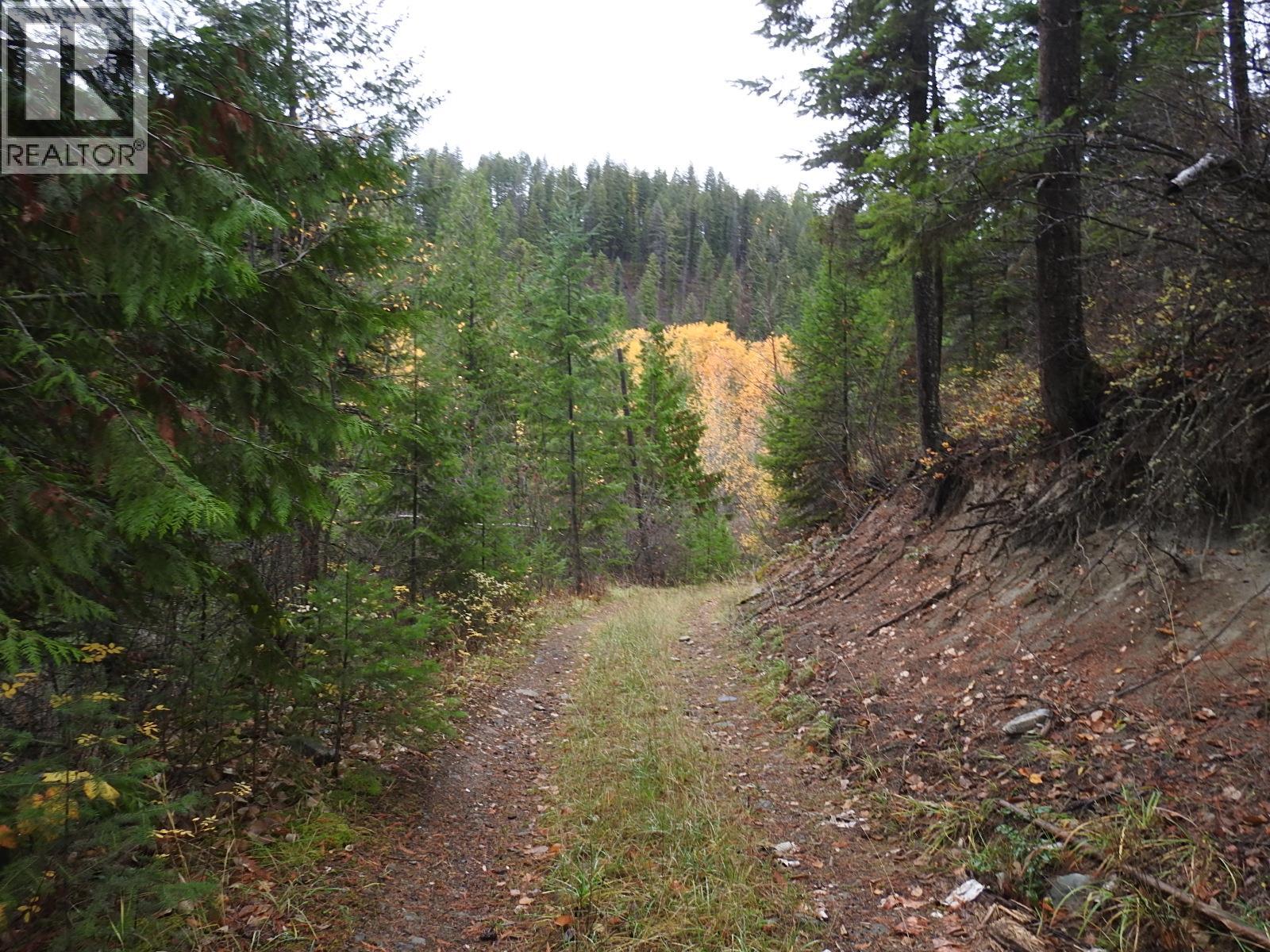 144 Acres South Fork Road, Cherryville, British Columbia  V0E 2G3 - Photo 14 - 10339844