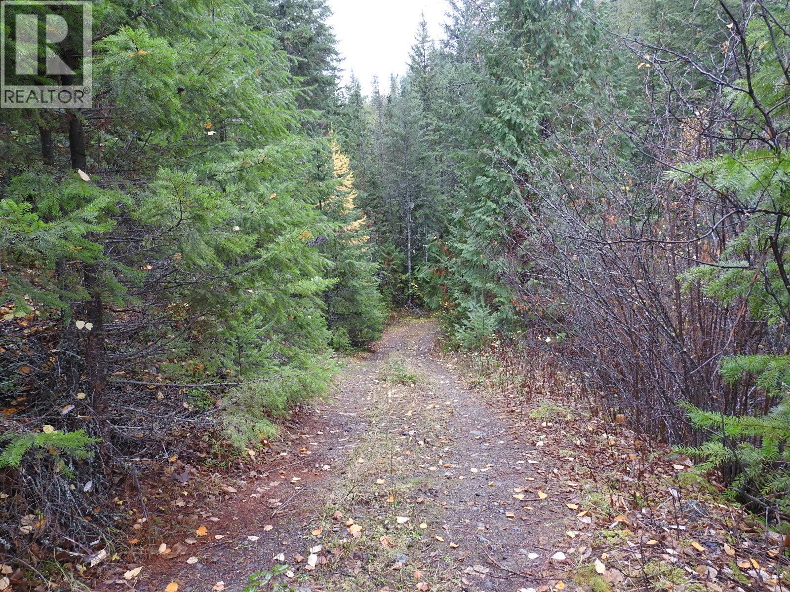 144 Acres South Fork Road, Cherryville, British Columbia  V0E 2G3 - Photo 16 - 10339844