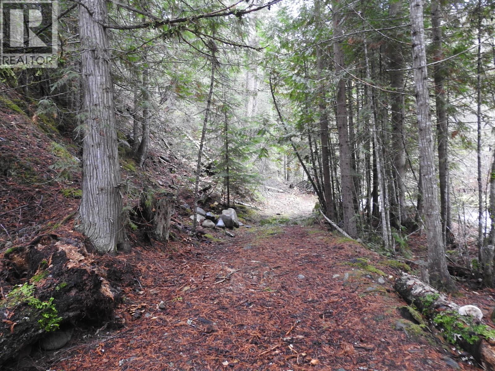 144 Acres South Fork Road, Cherryville, British Columbia  V0E 2G3 - Photo 18 - 10339844