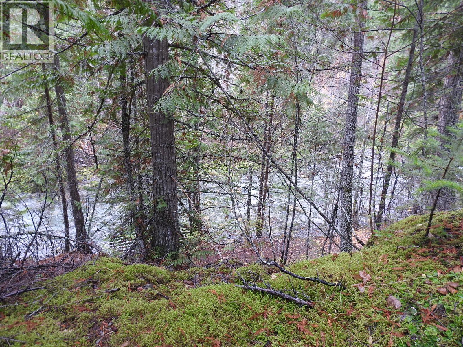 144 Acres South Fork Road, Cherryville, British Columbia  V0E 2G3 - Photo 29 - 10339844
