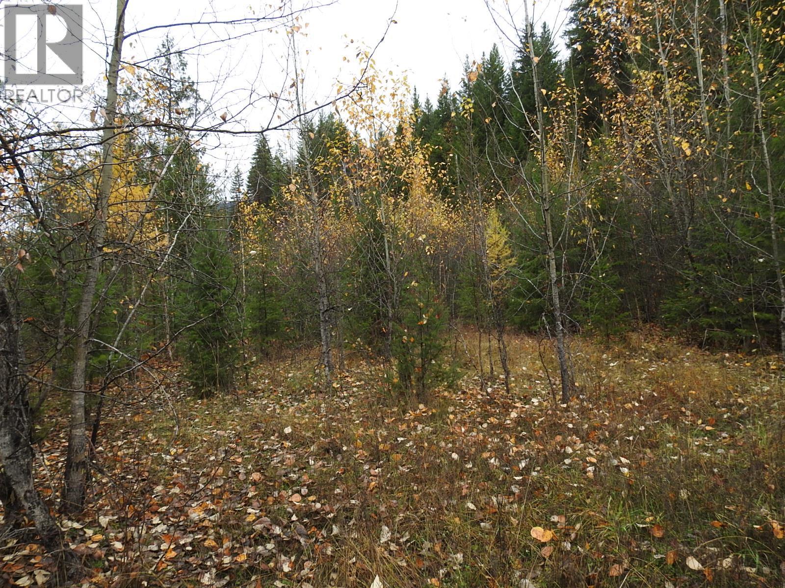 144 Acres South Fork Road, Cherryville, British Columbia  V0E 2G3 - Photo 32 - 10339844