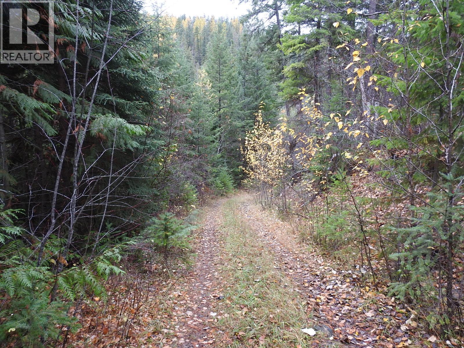144 Acres South Fork Road, Cherryville, British Columbia  V0E 2G3 - Photo 34 - 10339844