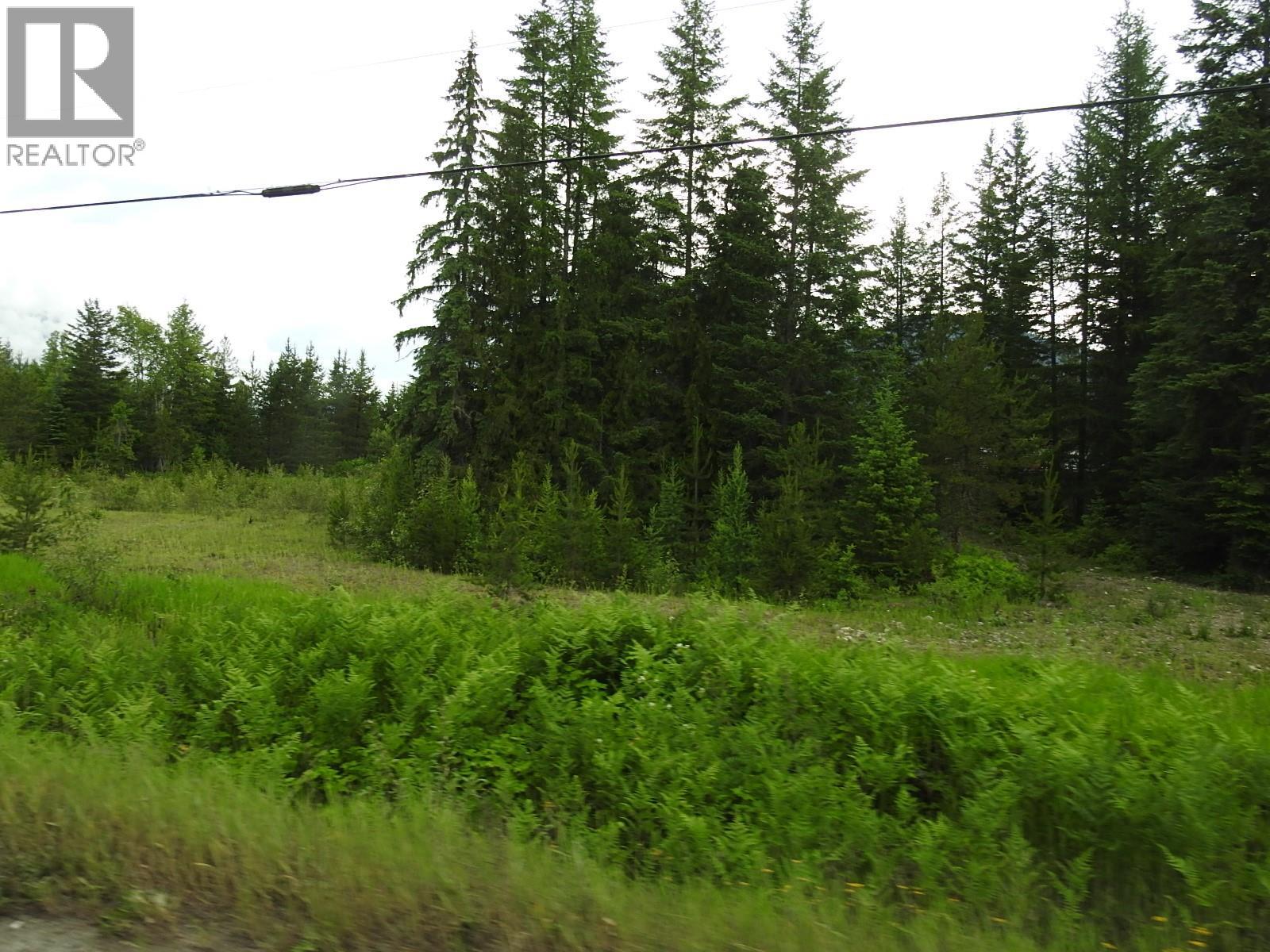 9700 Hwy 6, Edgewood, British Columbia V0G 1J0 - Photo 7 - 10380399