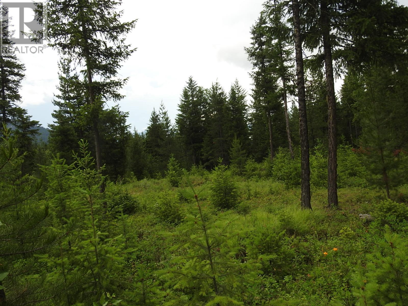 9700 Hwy 6, Edgewood, British Columbia V0G 1J0 - Photo 20 - 10380399