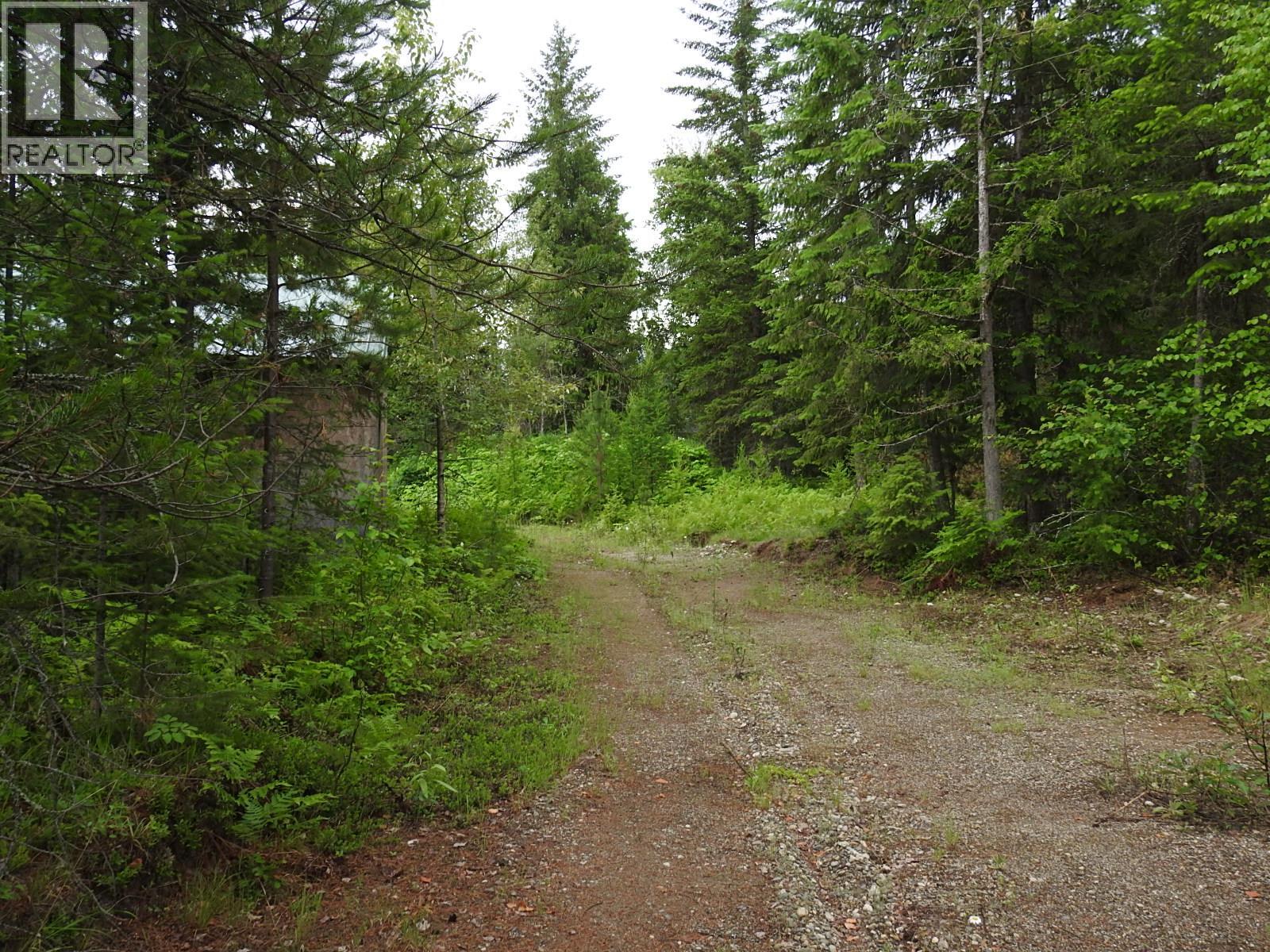9700 Hwy 6, Edgewood, British Columbia V0G 1J0 - Photo 4 - 10380399