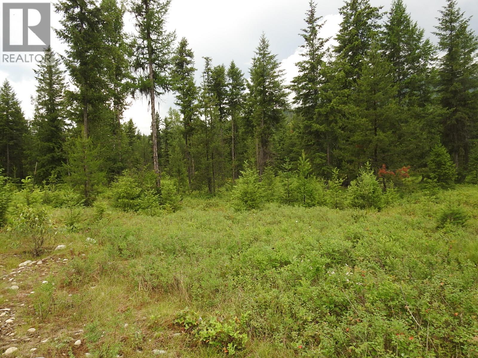 9700 Hwy 6, Edgewood, British Columbia V0G 1J0 - Photo 16 - 10380399