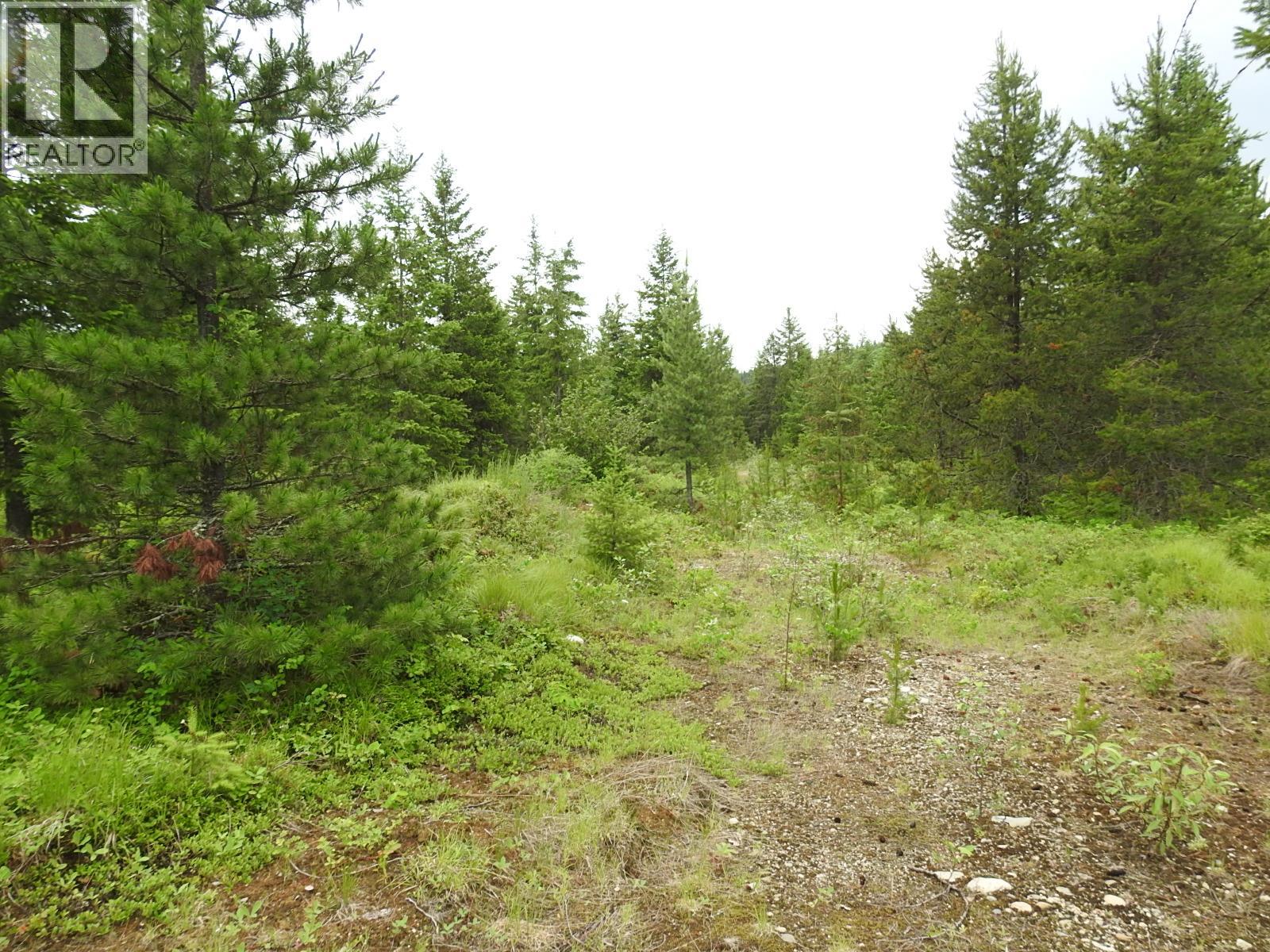 9700 Hwy 6, Edgewood, British Columbia V0G 1J0 - Photo 17 - 10380399