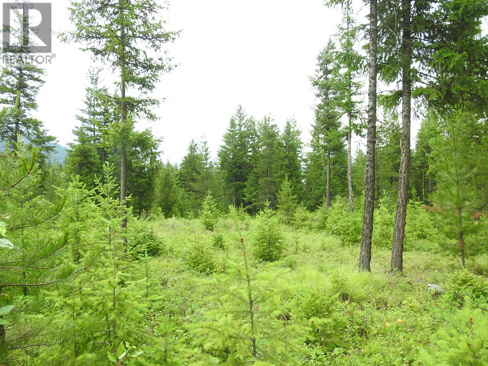 9700 Hwy 6, Edgewood, British Columbia V0G 1J0 - Photo 21 - 10380399
