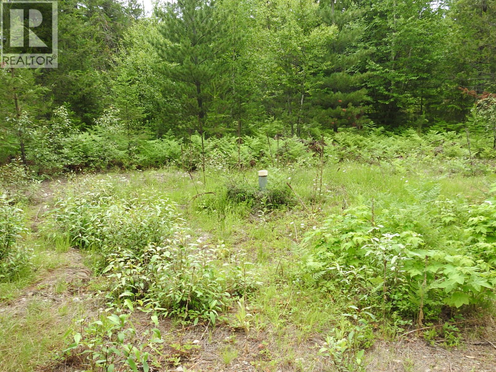 9700 Hwy 6, Edgewood, British Columbia V0G 1J0 - Photo 3 - 10380399