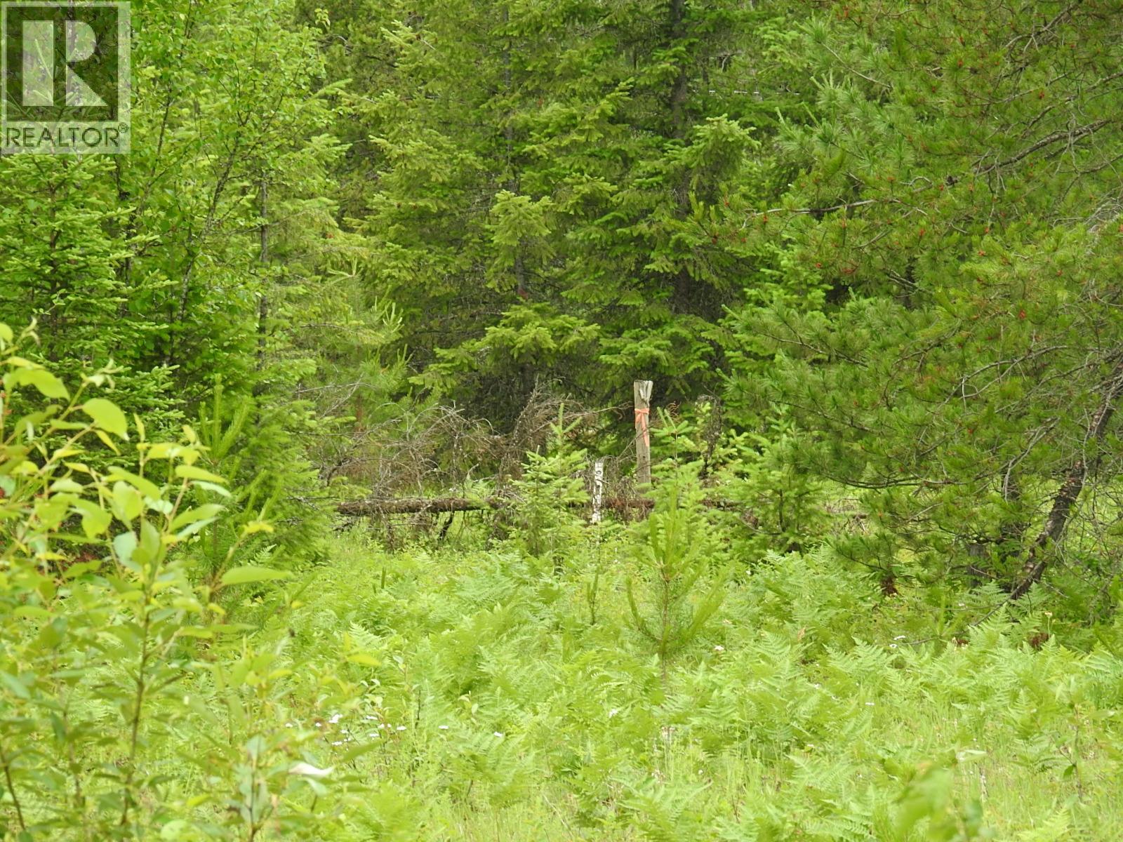 9700 Hwy 6, Edgewood, British Columbia V0G 1J0 - Photo 19 - 10380399