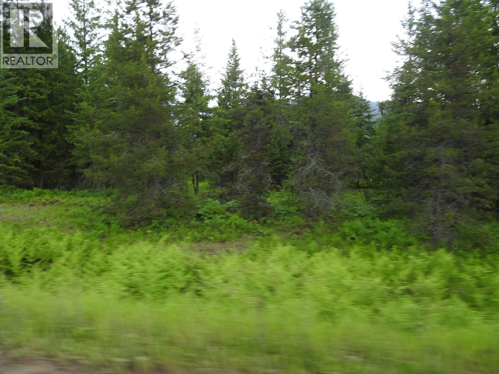 9700 Hwy 6, Edgewood, British Columbia V0G 1J0 - Photo 25 - 10380399