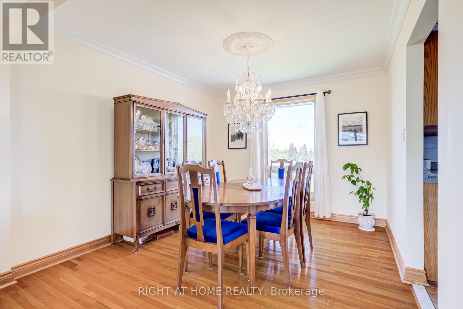 24 Joseph Street, Adjala-Tosorontio, Ontario  L0G 1L0 - Photo 5 - N13763548