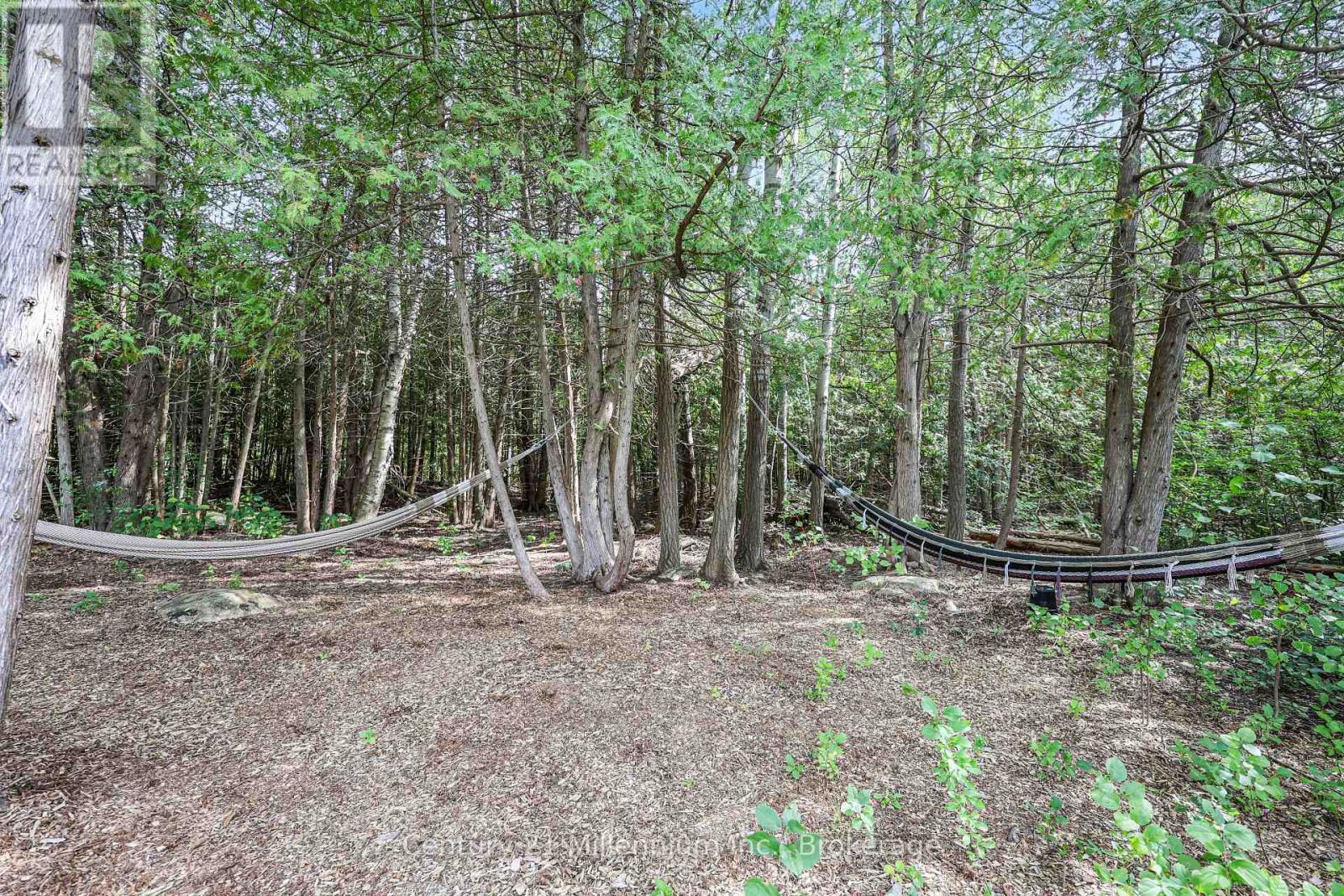 103 Tekiah Road, Blue Mountains, Ontario  N0H 1J0 - Photo 43 - X13763554