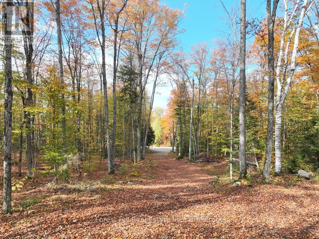 4488 Kawagama Lake Road, Algonquin Highlands, Ontario  P0A 1E0 - Photo 45 - X13763618