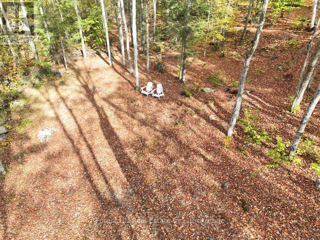 4488 Kawagama Lake Road, Algonquin Highlands, Ontario  P0A 1E0 - Photo 46 - X13763618