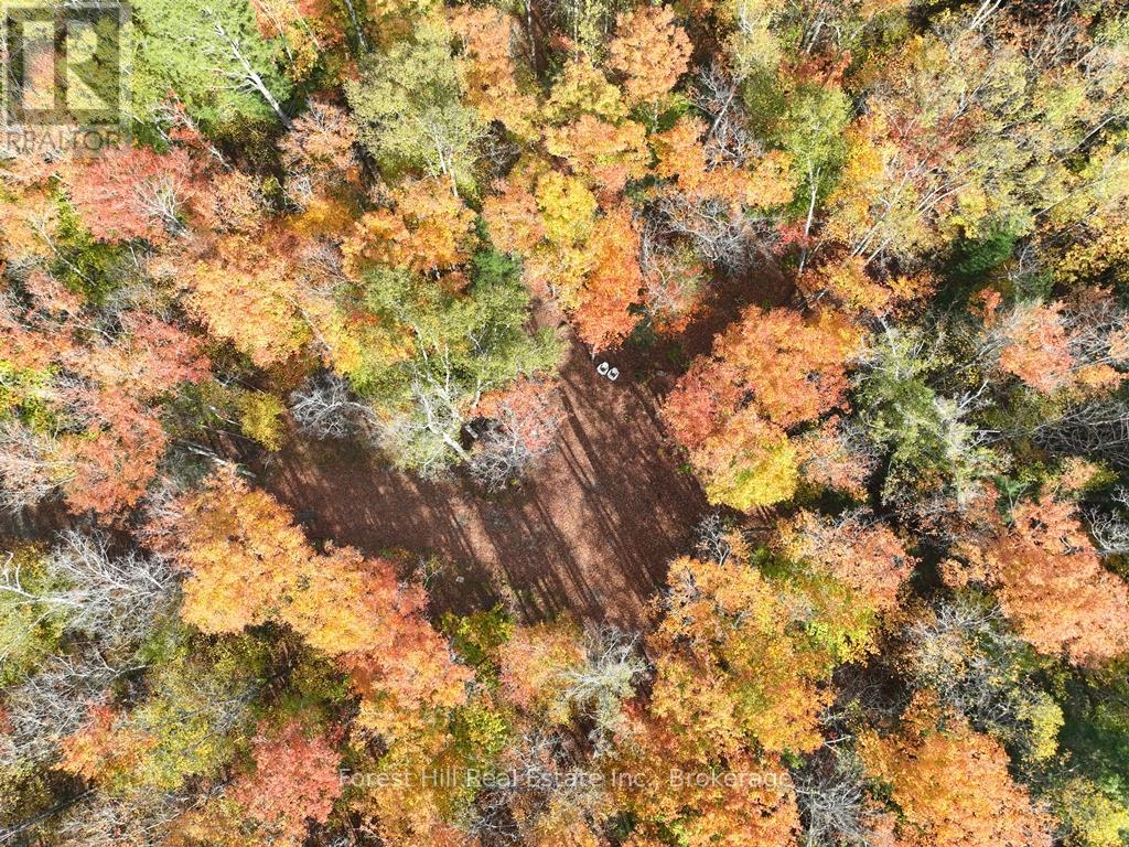 4488 Kawagama Lake Road, Algonquin Highlands, Ontario  P0A 1E0 - Photo 49 - X13763618