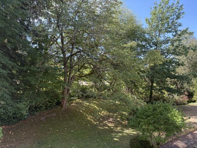 206 15140 29a Avenue, Surrey, British Columbia  V4P 1H1 - Photo 33 - R3163529