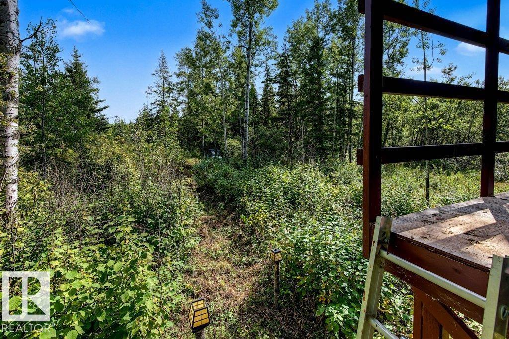 56225 Rge Road 13, Rural Lac Ste. Anne County, Alberta  T0E 1V0 - Photo 69 - E4507824