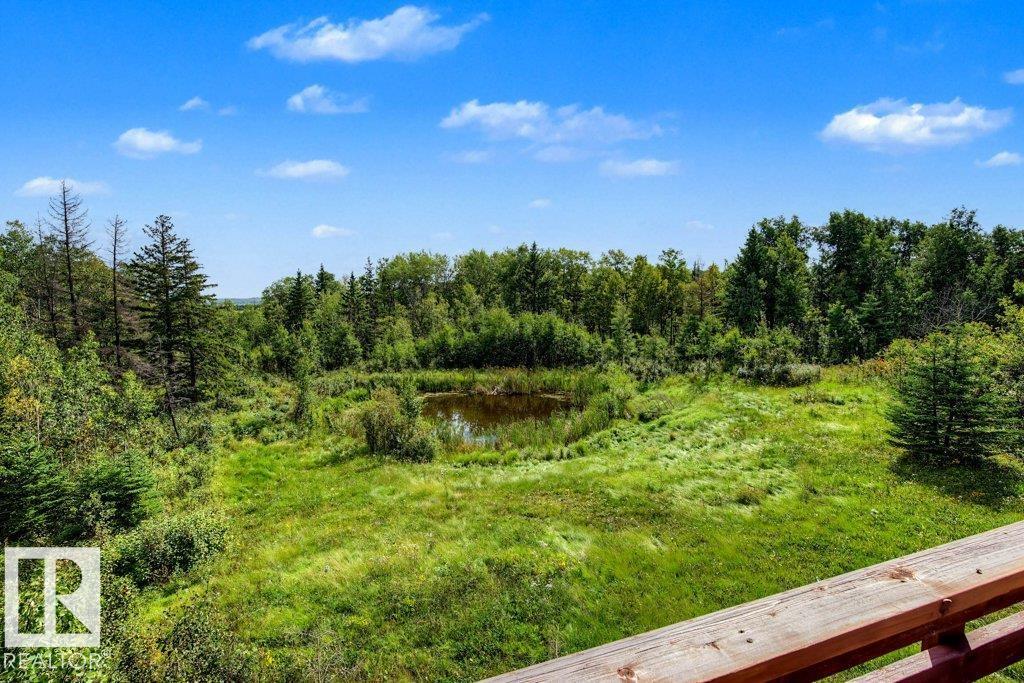56225 Rge Road 13, Rural Lac Ste. Anne County, Alberta  T0E 1V0 - Photo 74 - E4507824