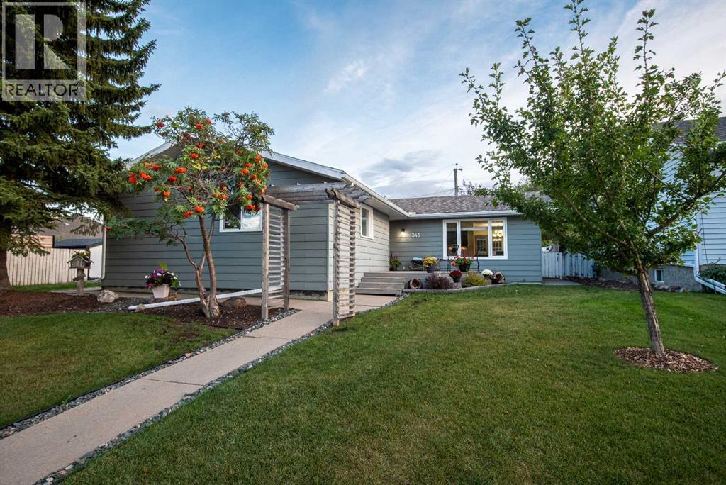 345 9 Street SE, Three Hills, Alberta  T0M 2A0 - Photo 1 - A2319392