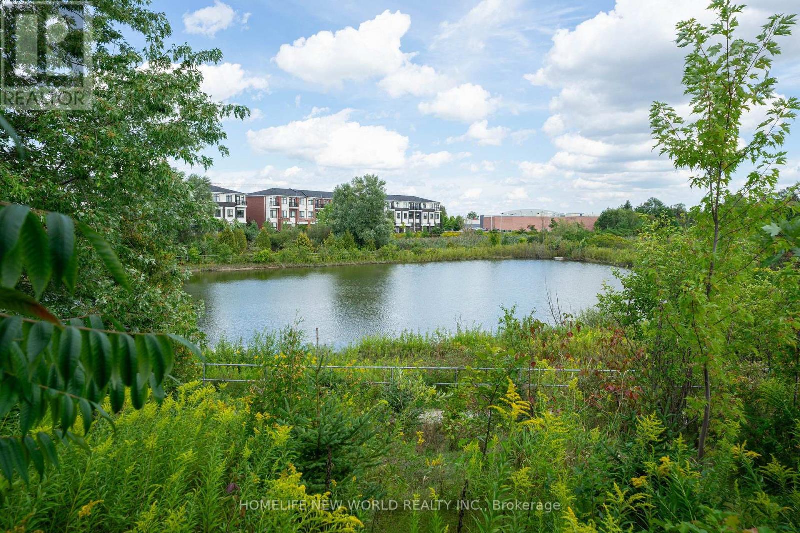 20 Gracedale Drive, Richmond Hill, Ontario  L4C 0Y3 - Photo 45 - N13743882
