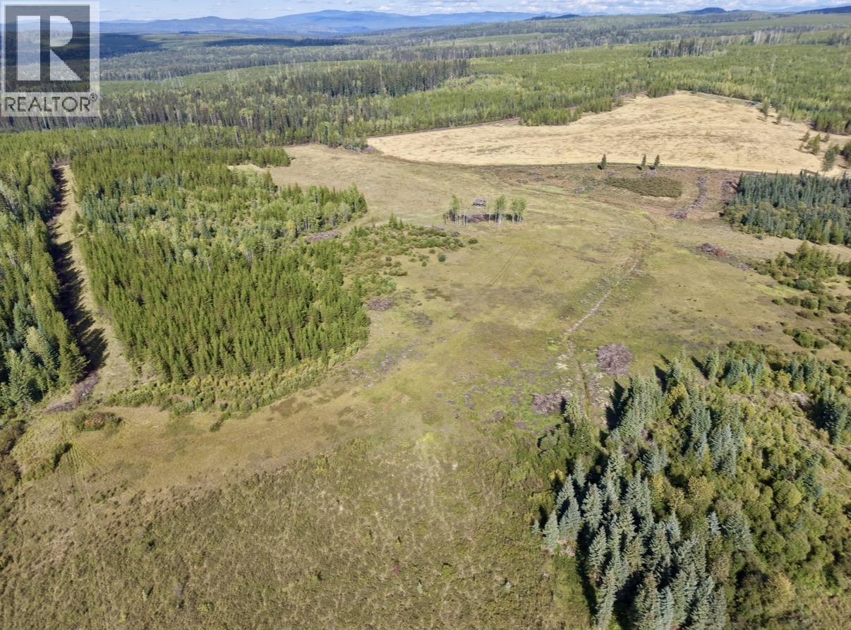 2935 Miles Creek Forest Service Road, Likely, British Columbia  V0L 1G0 - Photo 5 - R3163311