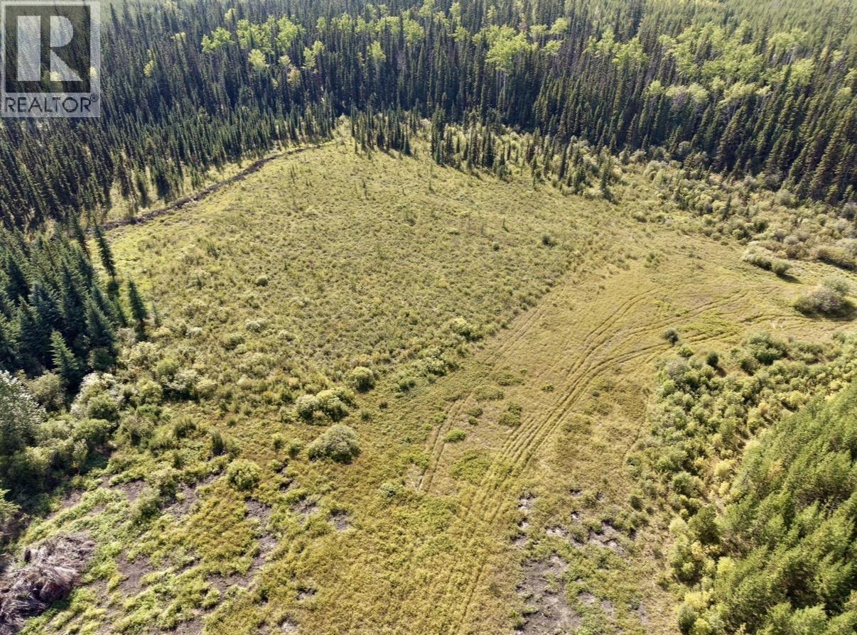 2935 Miles Creek Forest Service Road, Likely, British Columbia  V0L 1G0 - Photo 6 - R3163311