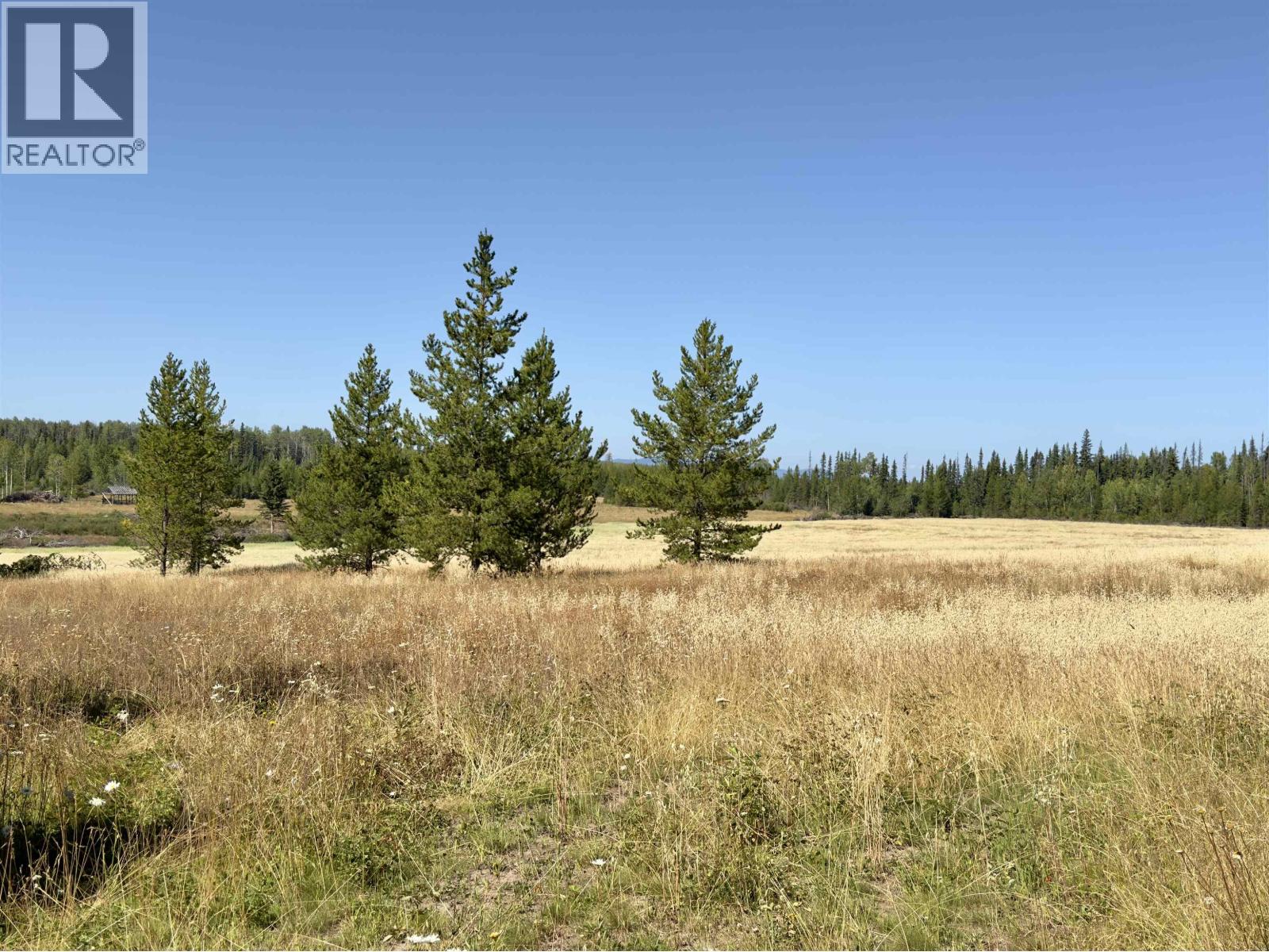 2935 Miles Creek Forest Service Road, Likely, British Columbia  V0L 1G0 - Photo 21 - R3163311
