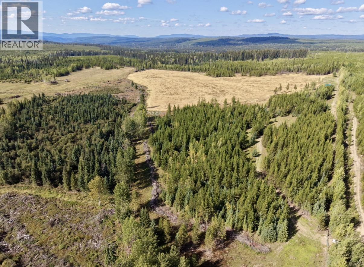 2935 Miles Creek Forest Service Road, Likely, British Columbia  V0L 1G0 - Photo 9 - R3163311