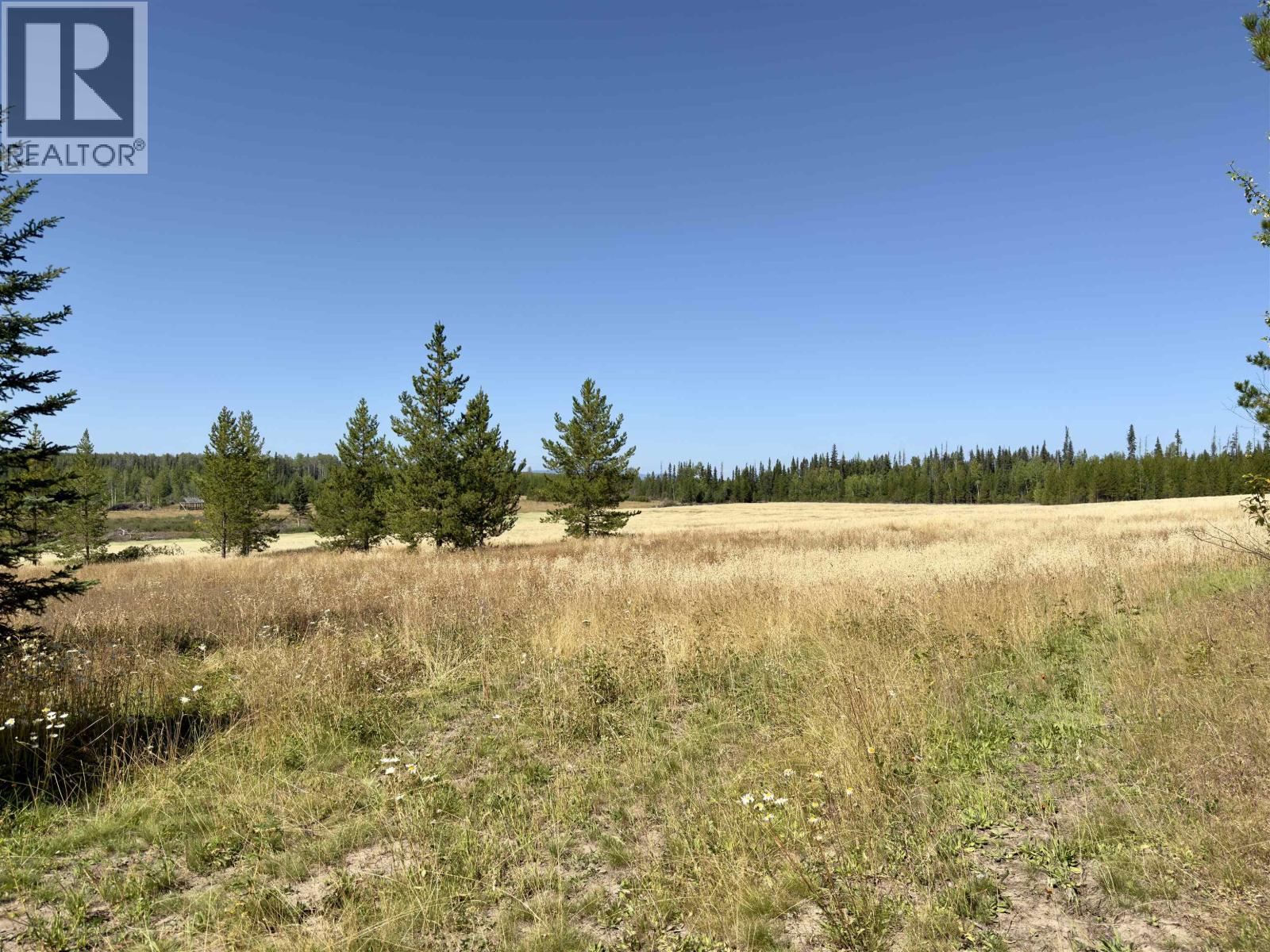 2935 Miles Creek Forest Service Road, Likely, British Columbia  V0L 1G0 - Photo 23 - R3163311