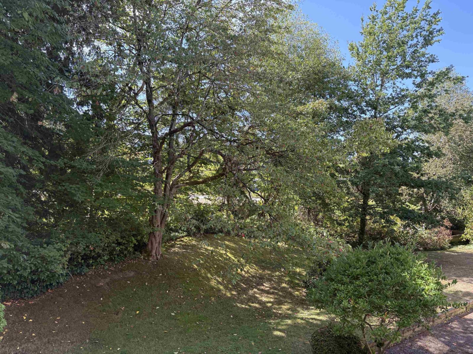 206 15140 29a Avenue, Surrey, British Columbia  V4P 1H1 - Photo 33 - R3163529