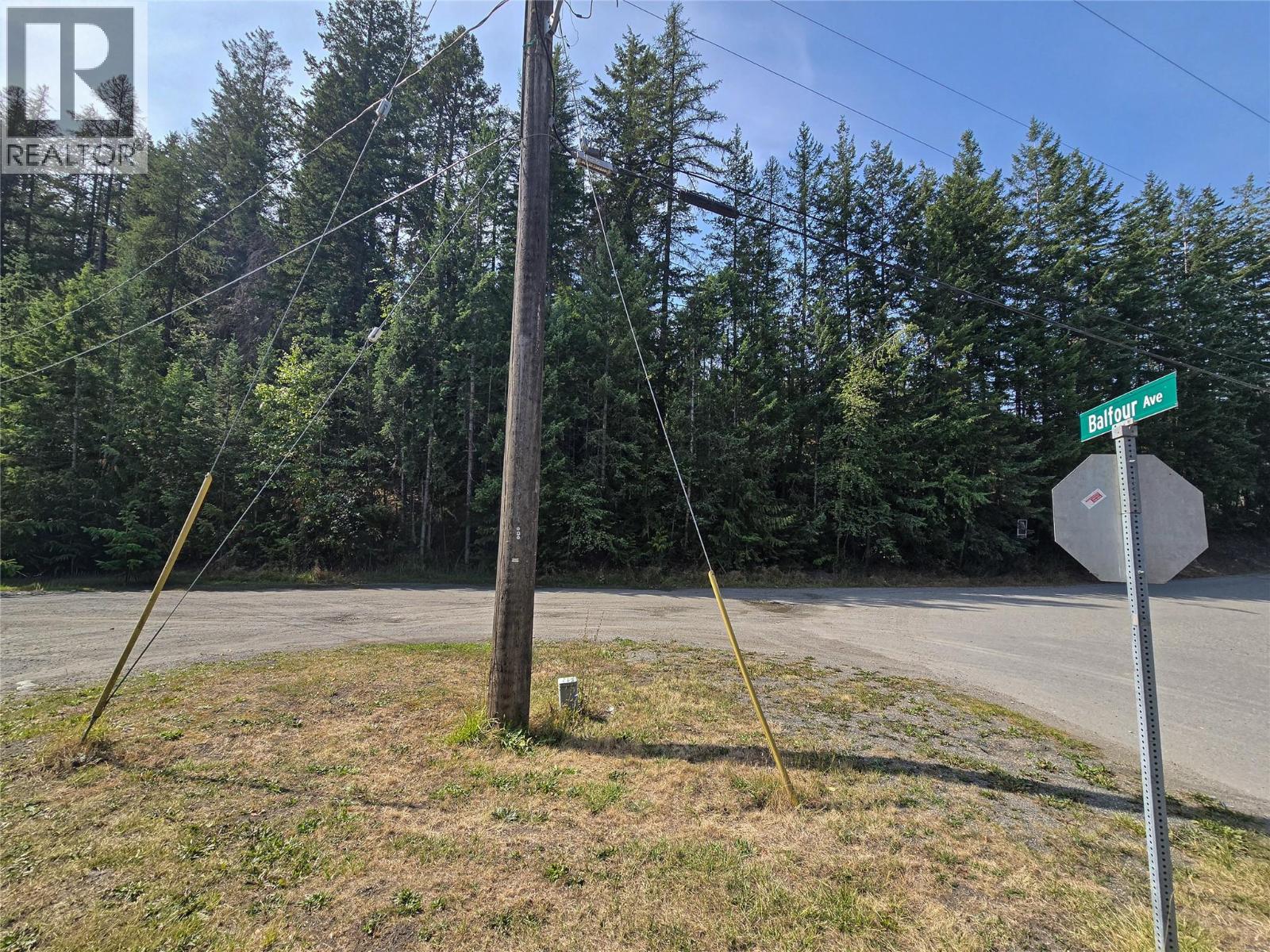 Balfour Avenue Lot# Lot 8, Kaslo, British Columbia  V0G 1M0 - Photo 1 - 10378782