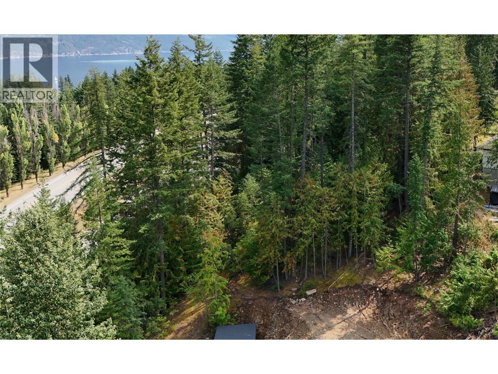 Balfour Avenue Lot# Lot 8, Kaslo, British Columbia  V0G 1M0 - Photo 4 - 10378782