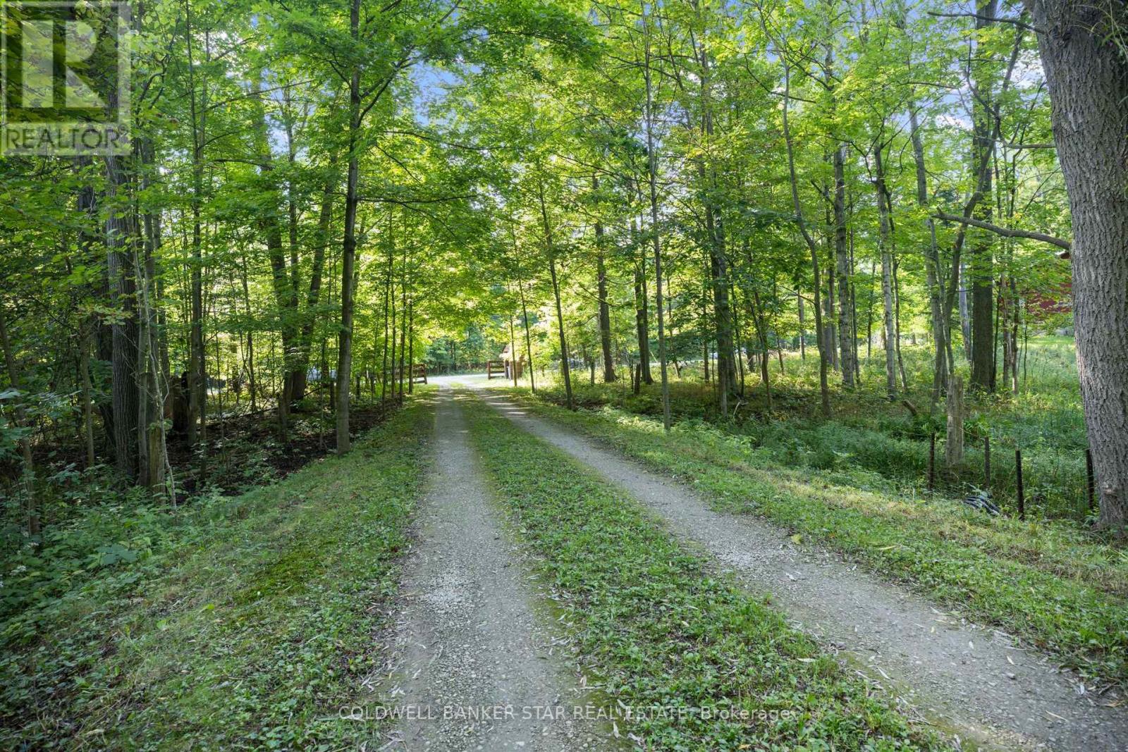 26034 Kerwood Road, Adelaide Metcalfe, Ontario  N7G 3H5 - Photo 4 - X13764212