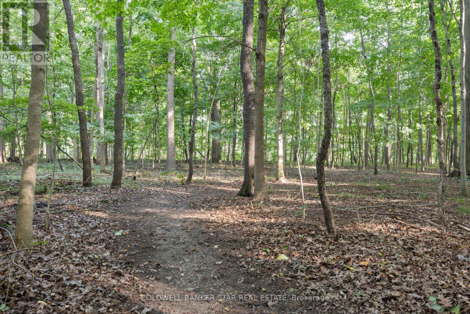 26034 Kerwood Road, Adelaide Metcalfe, Ontario  N7G 3H5 - Photo 42 - X13764212