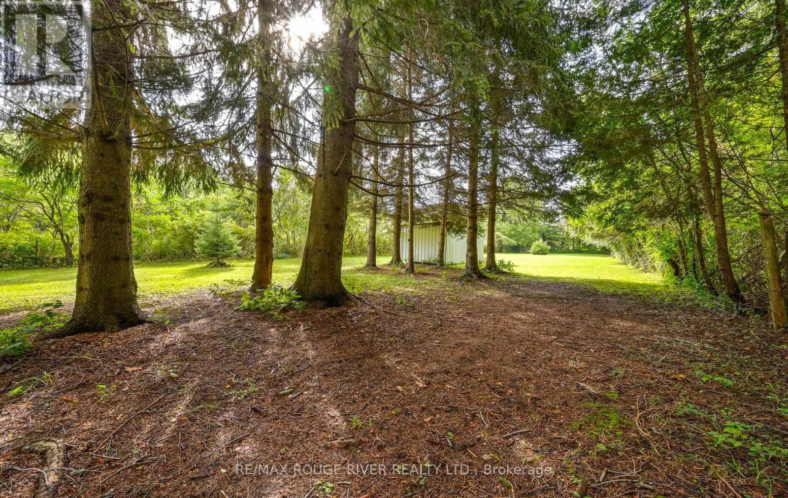 1901 Nash Road, Clarington, Ontario  L1C 6S6 - Photo 31 - E13764154