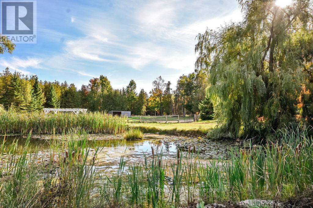 465 Ridge Road E, Oro-Medonte, Ontario  L0L 2E0 - Photo 41 - S13764294