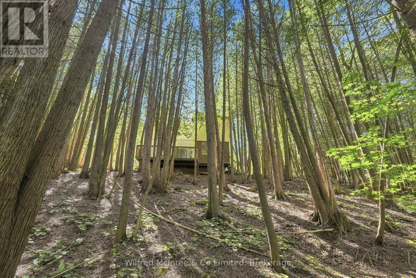 493537 Baptist Church Road W, West Grey, Ontario  N0C 1K0 - Photo 32 - X13764290
